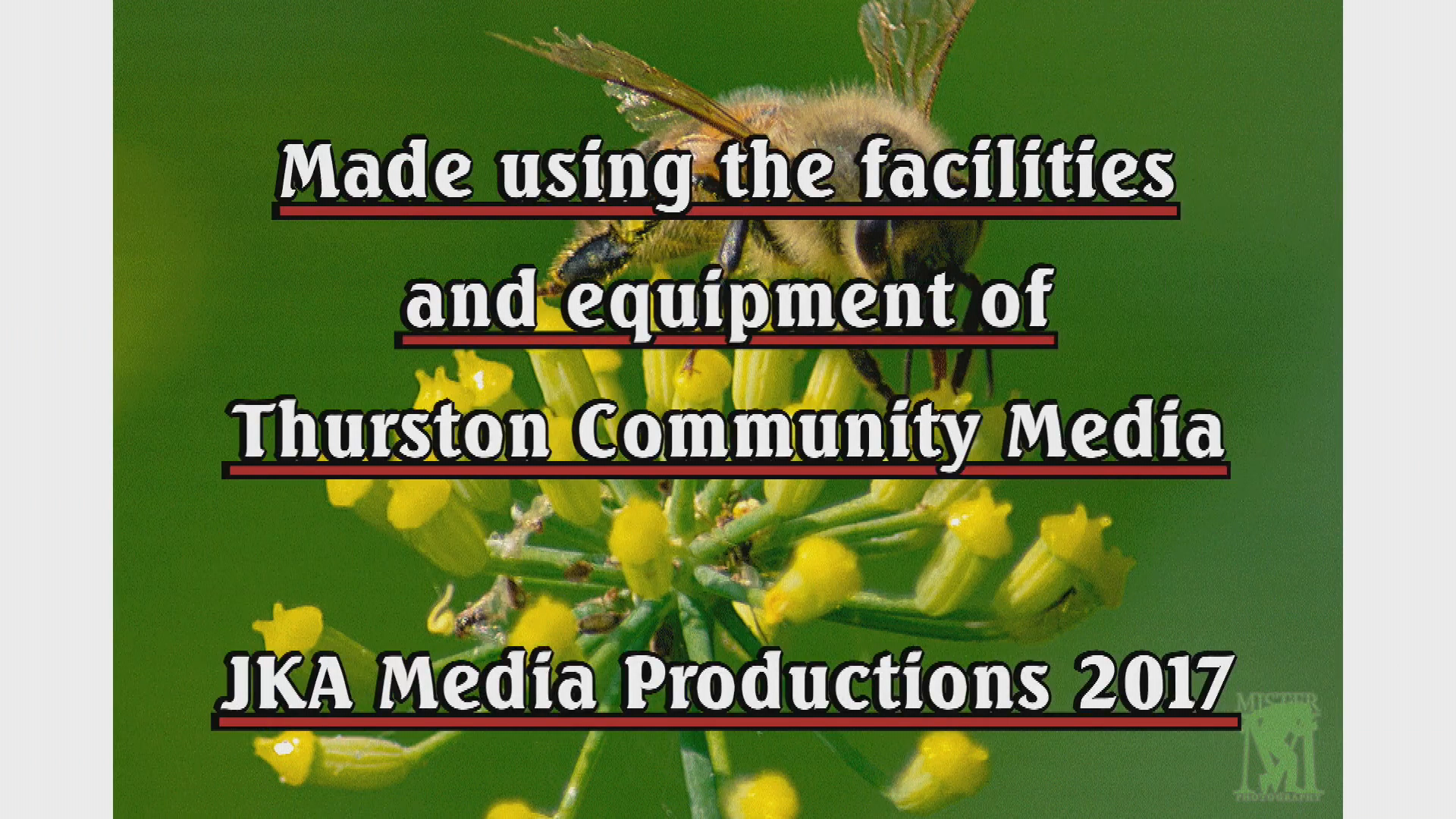 Just Kidding Around with Mr. Martinho