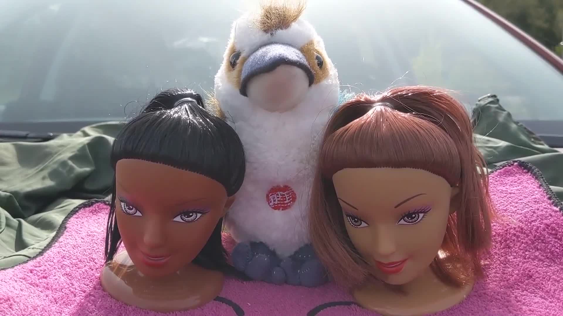 ADKINS STUDIOS' SHORT: SHORTS FILM FEST PT 2