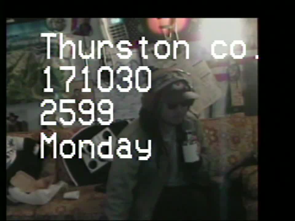 YDHWM 2599 Dead Spider