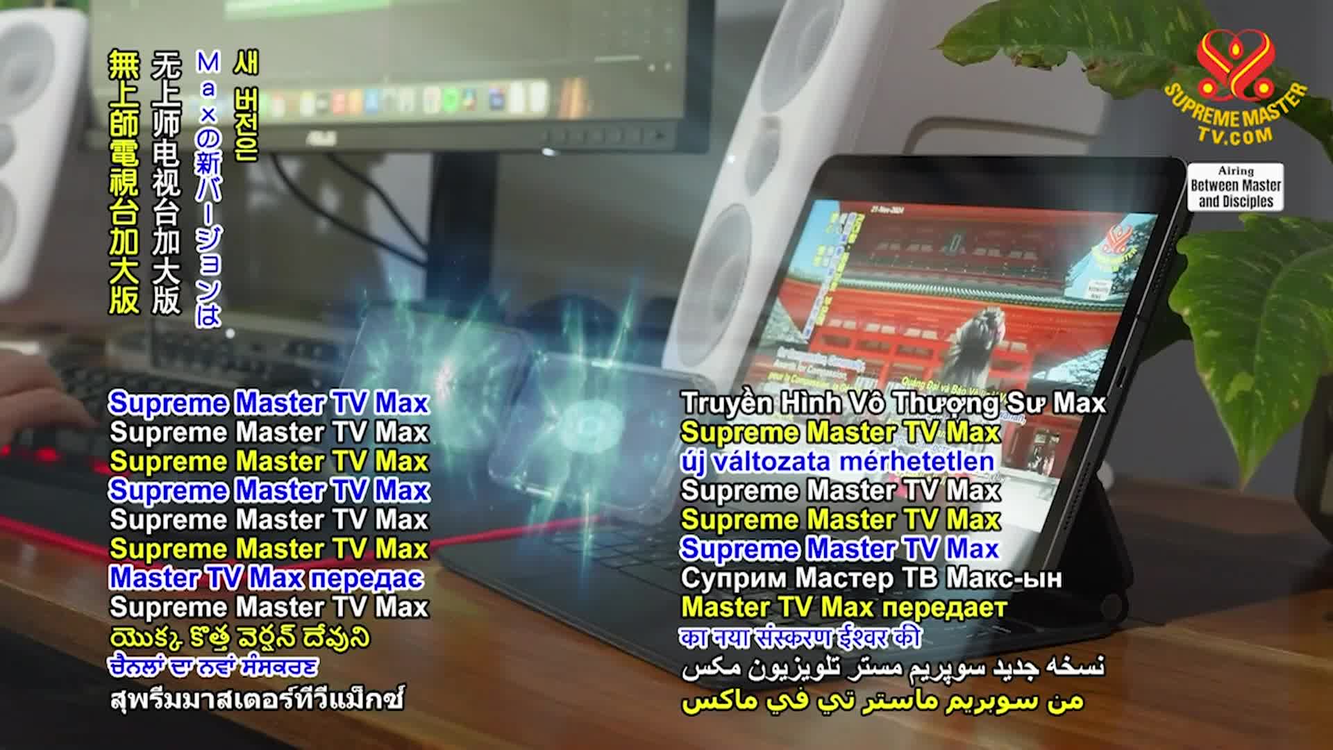 Positive Programming: Being Vegan in Safeguarding Our World., Part 2