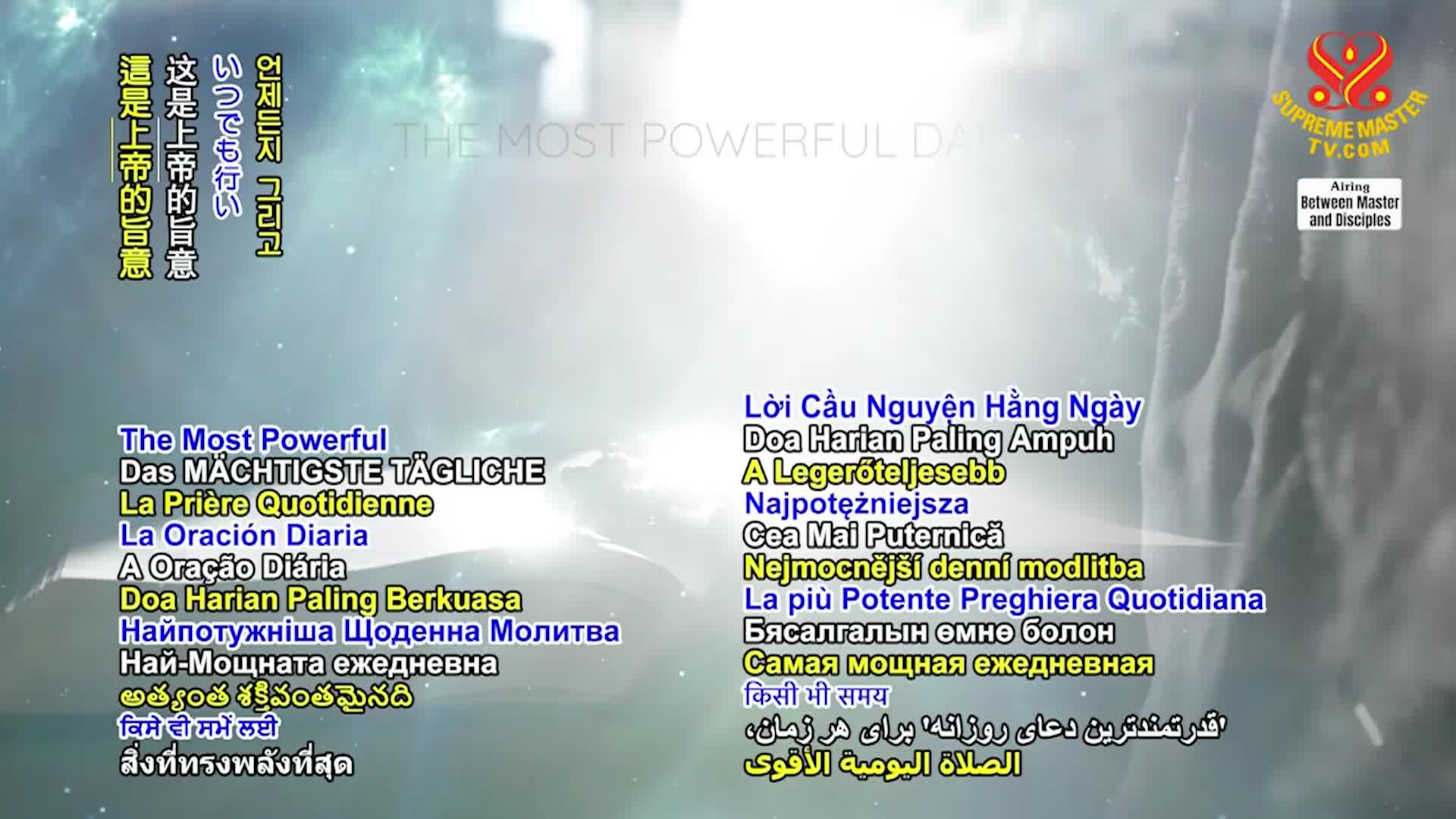 Positive Programming: Being Vegan in Safeguarding Our World., Part 1