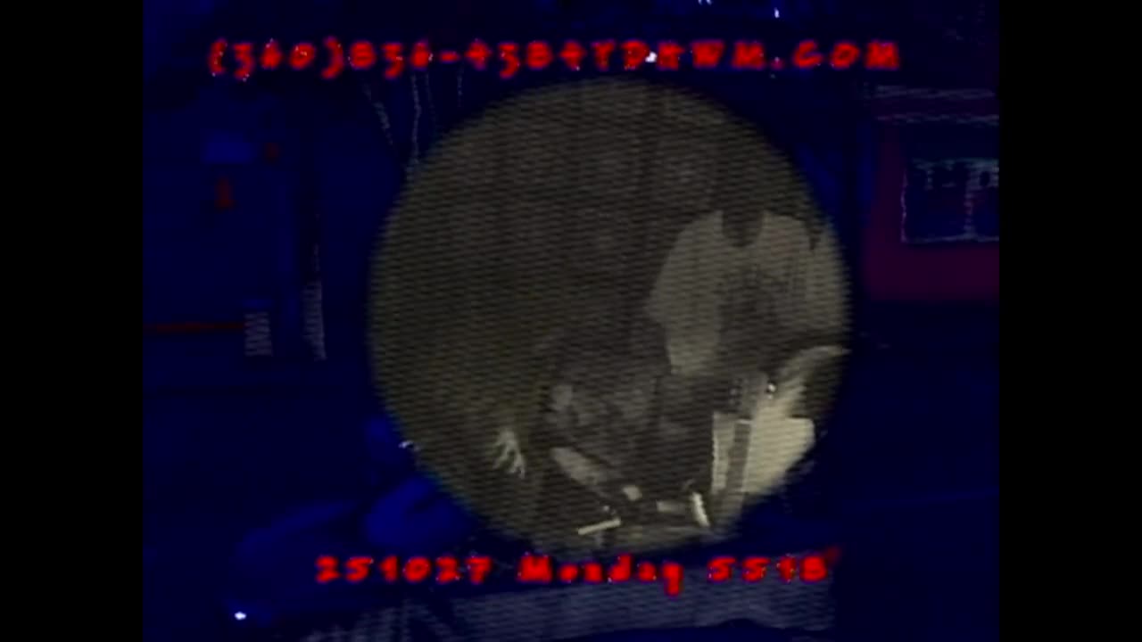 YDHWM 5518 Berd Burgers