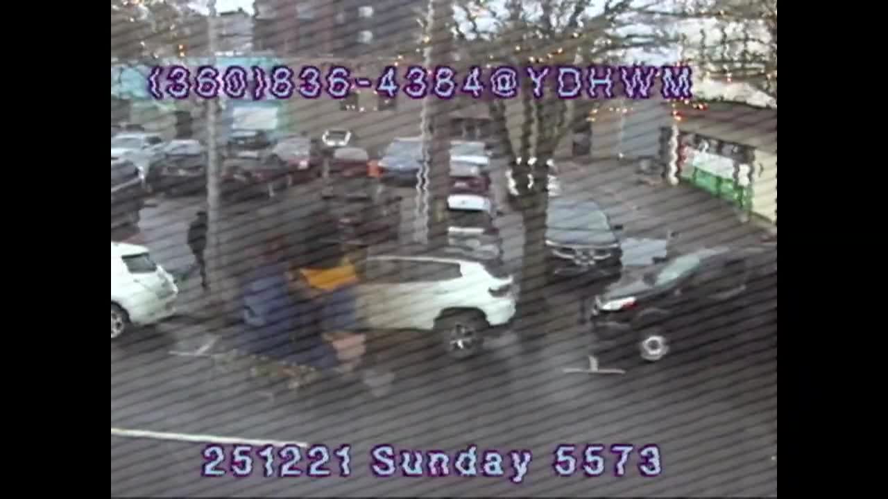 YDHWM 5573 Parking Lot Fight