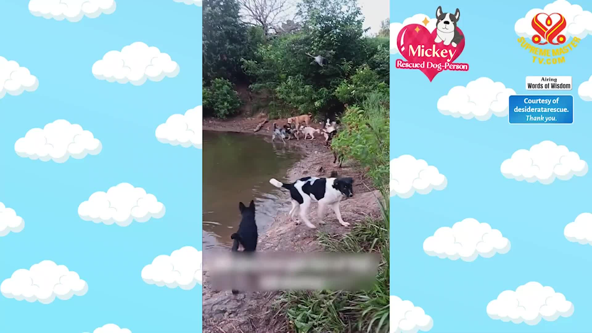 Positive Programming: Open the Door of Wisdom, Part 4