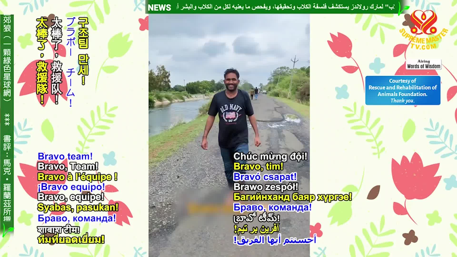 Positive Programming: Open the Door of Wisdom, Part 1