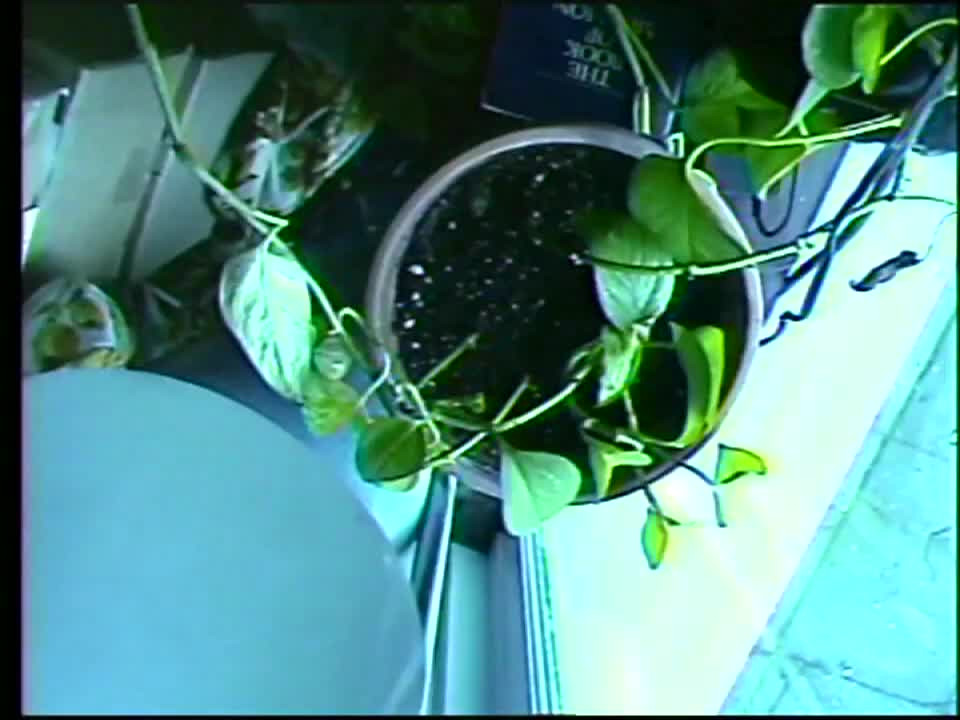 YDHWM 2712 Snowdays vs. Tuesdays