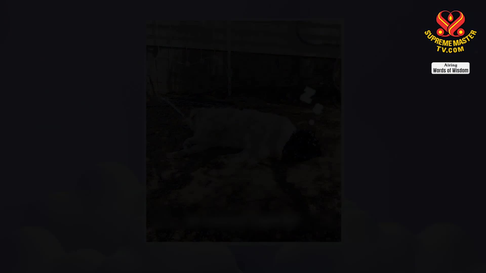 Positive Programming: Open the Door of Wisdom, Part 9