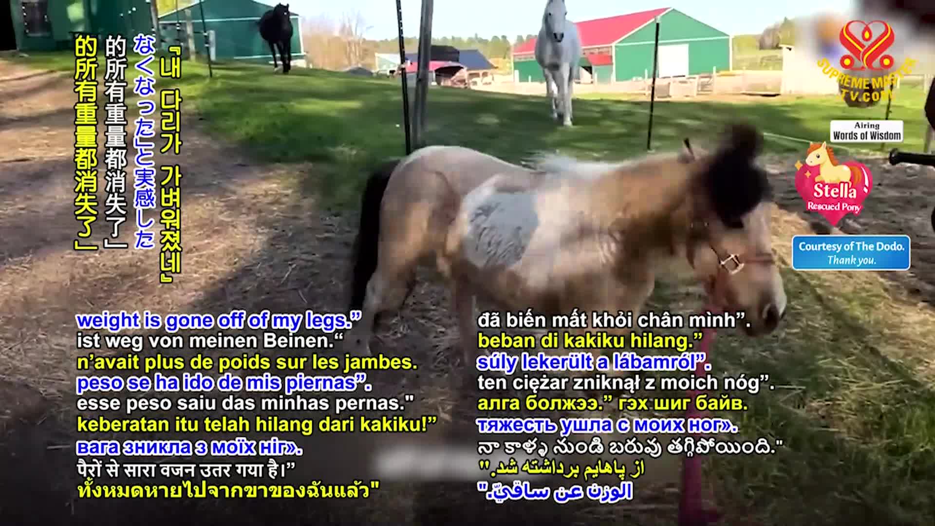 Positive Programming: Open the Door of Wisdom, Part 10