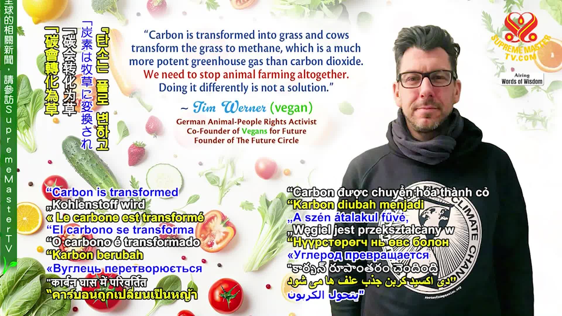 Positive Programming: Open the Door of Wisdom, Part 11