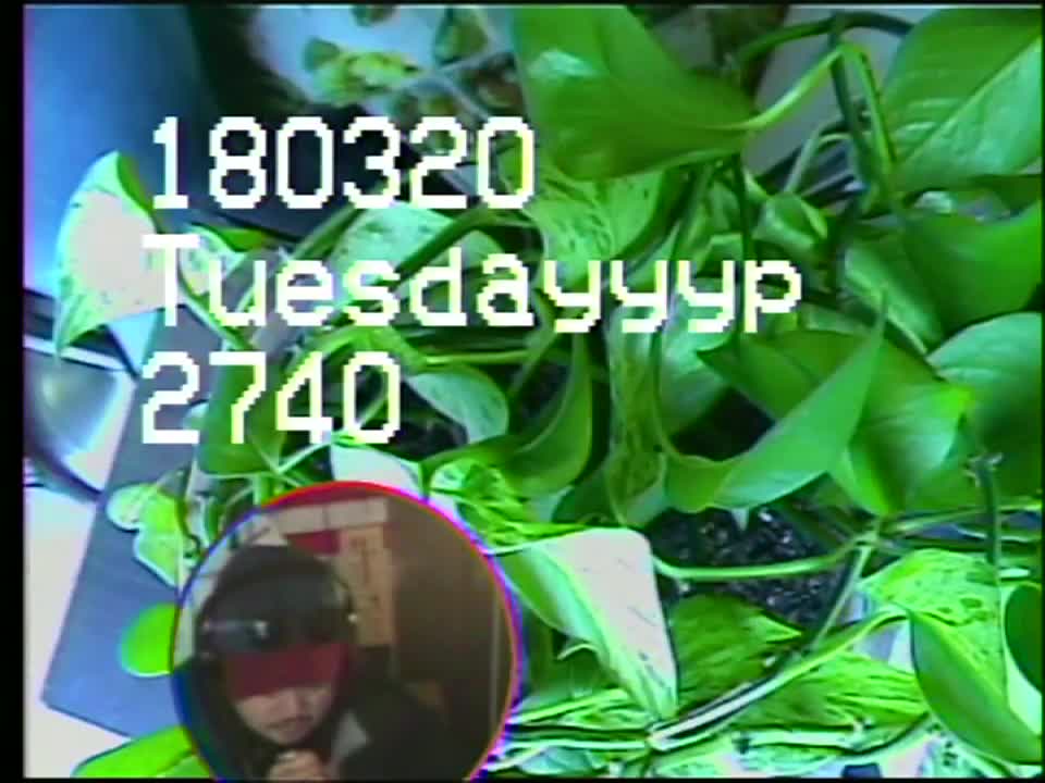 YDHWM 2740 Call from a Telemarketer