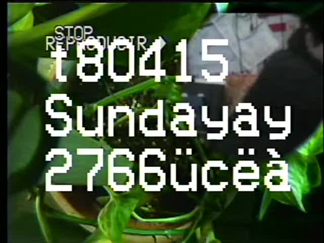 YDHWM 2766 Infinite Tapes