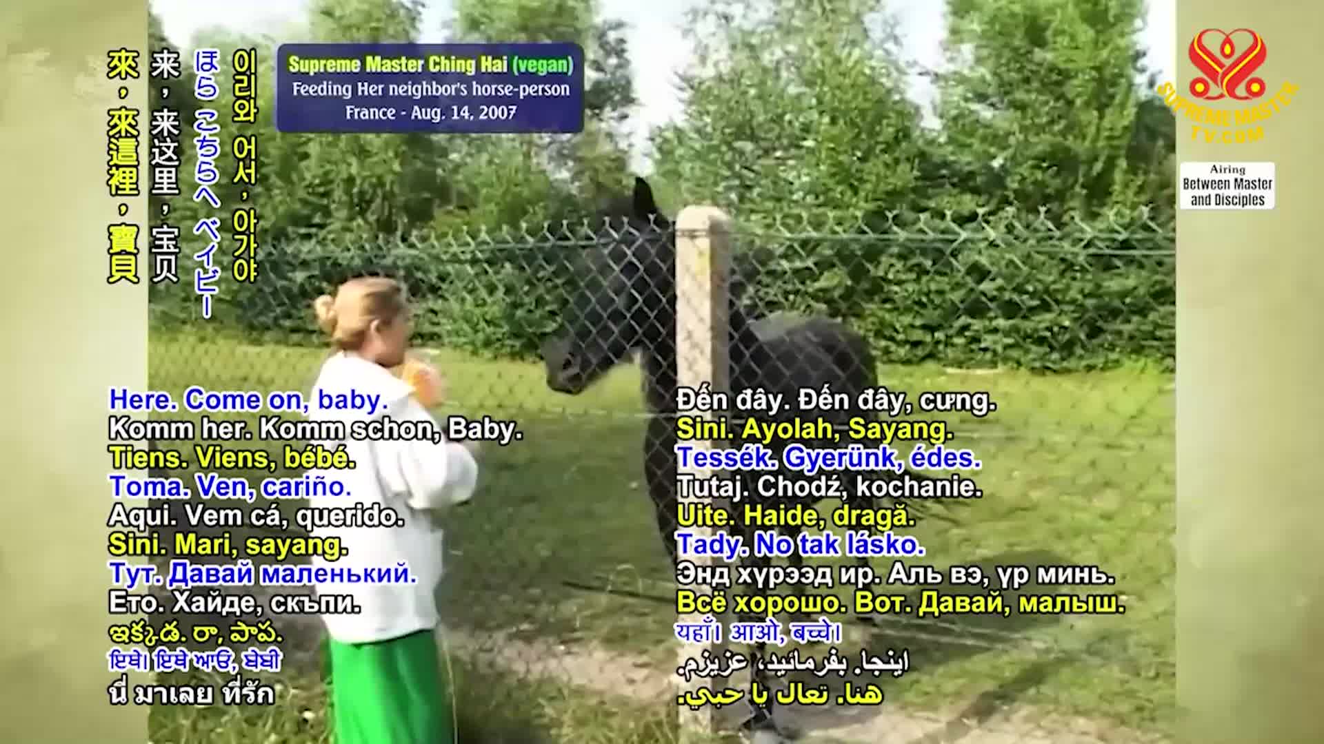 Everything Is Arranged by God, Part 7